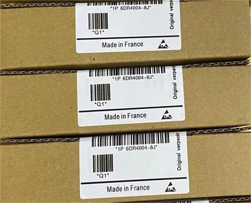 0.05Kg SIEMENS Simatic R3P2 6DR4004-8J PM300